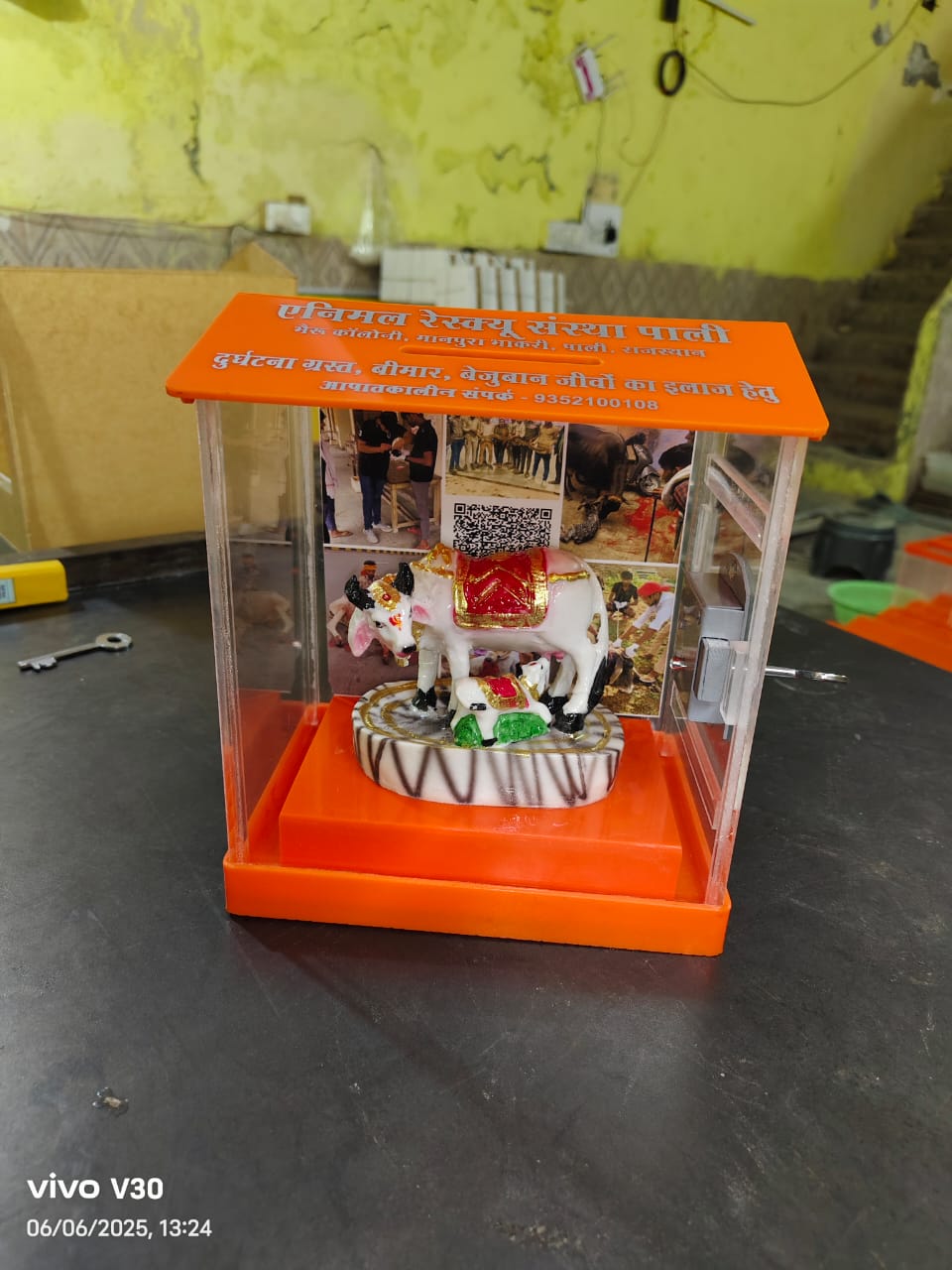 Custom animal rescue donation box